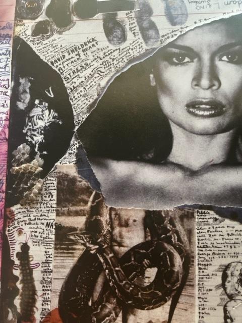 Peter Beard "Untitled" Print. - Bild 3 aus 6