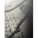 Daido Moriyama "Untitled" Print.