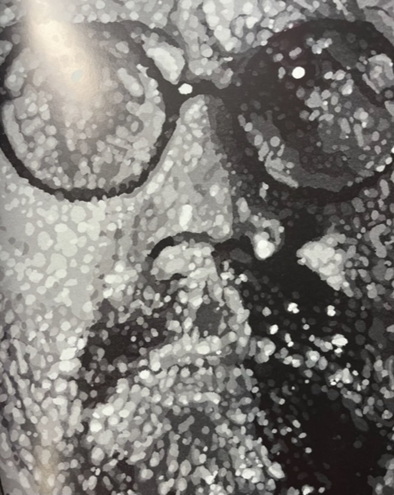 Chuck Close "Untitled" Print. - Bild 4 aus 6