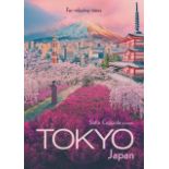 Tokyo Travel Poster