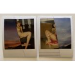 Nobuyoshi Araki Set of Two Polaroid Prints, Untitled