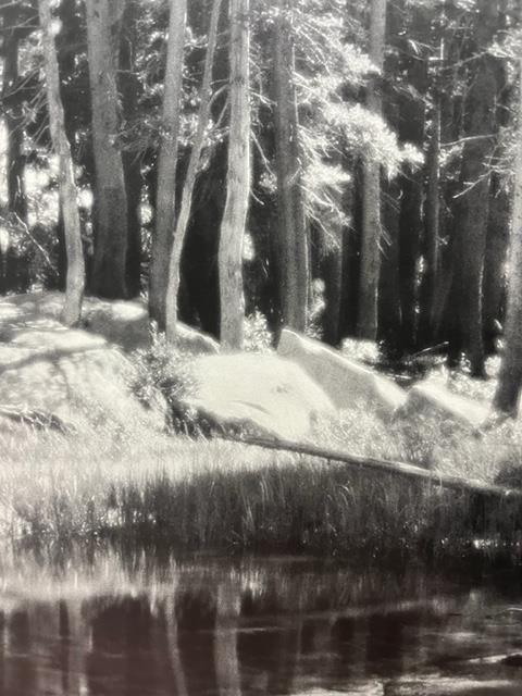 Ansel Adams "Forest and Stream " Print. - Image 4 of 6