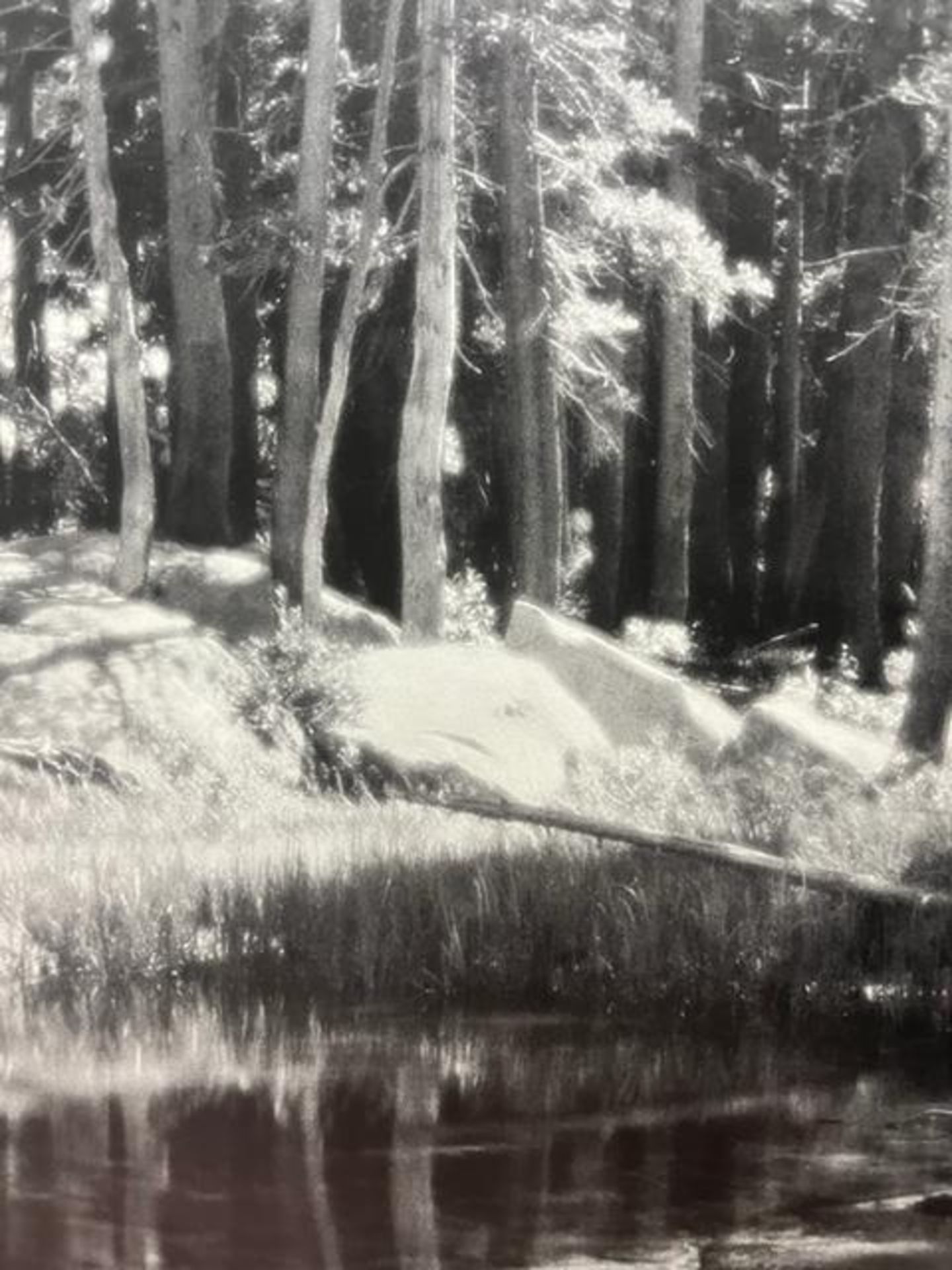 Ansel Adams "Forest and Stream " Print. - Bild 4 aus 6
