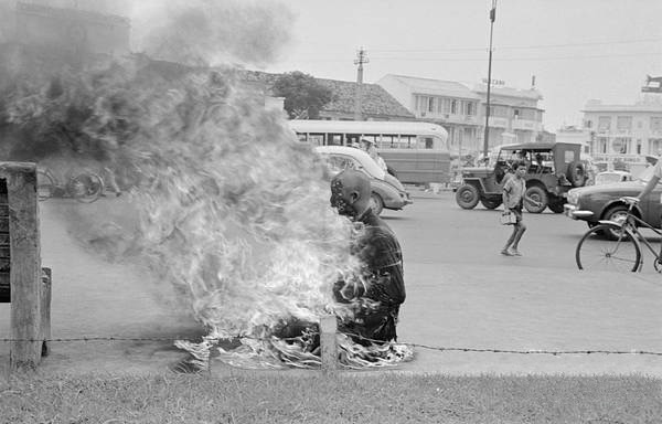 Vietnam War "Monk, Protest, Fire" Photo Print