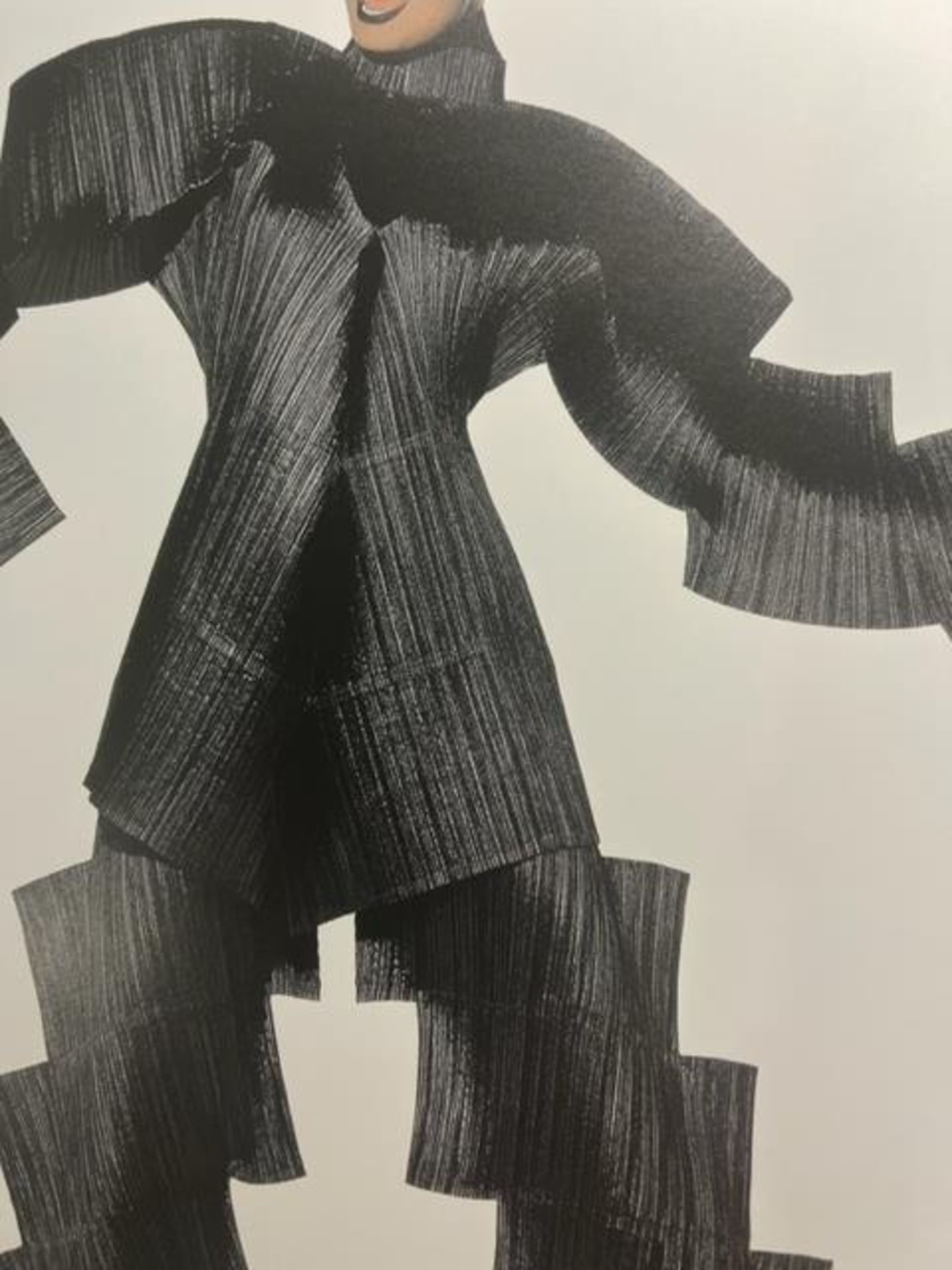 Irving Penn "Staircase Pleats" Print. - Image 6 of 6
