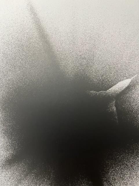 Shomei Tomatsu "Untitled" Print. - Image 3 of 6