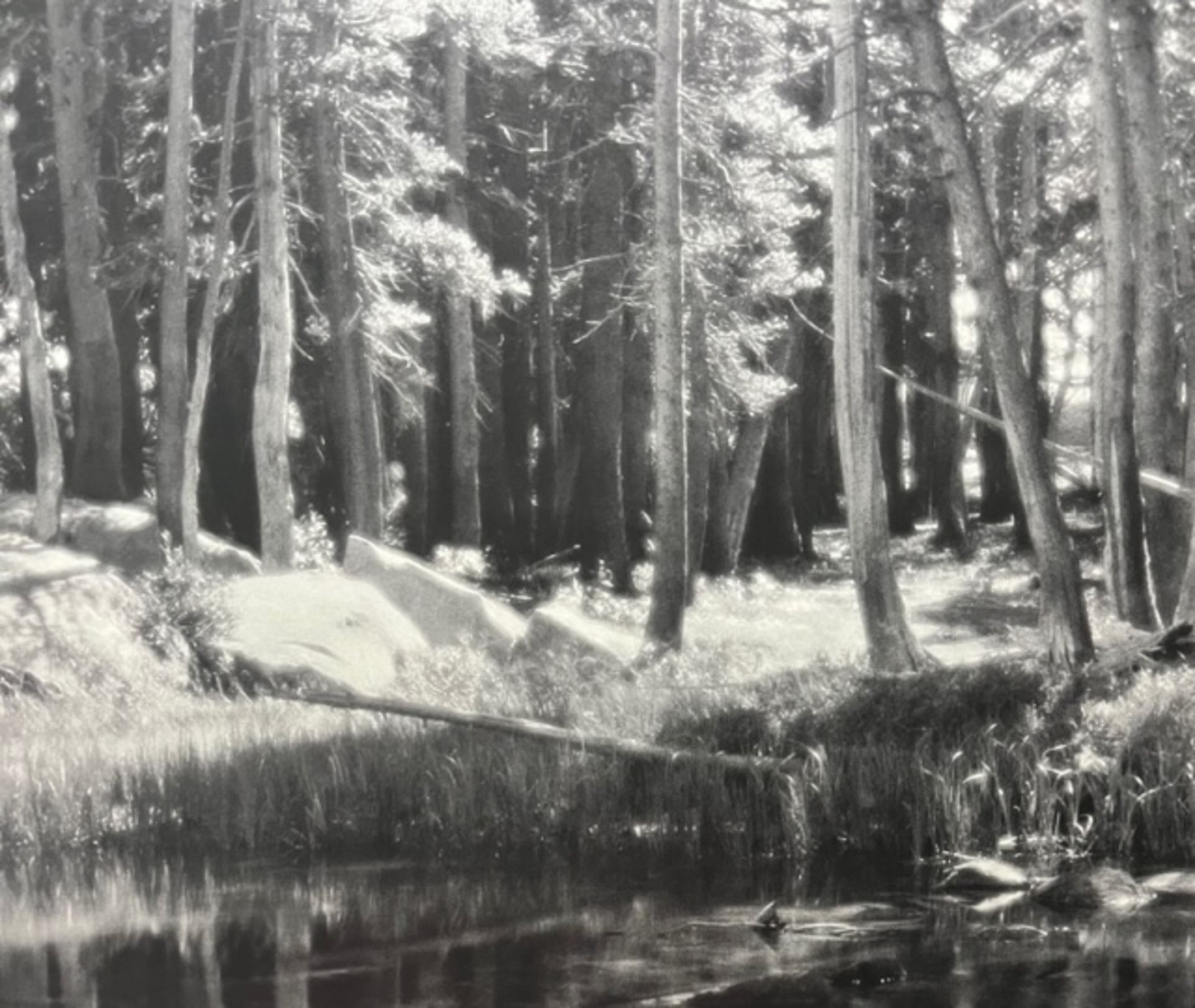 Ansel Adams "Forest and Stream " Print.