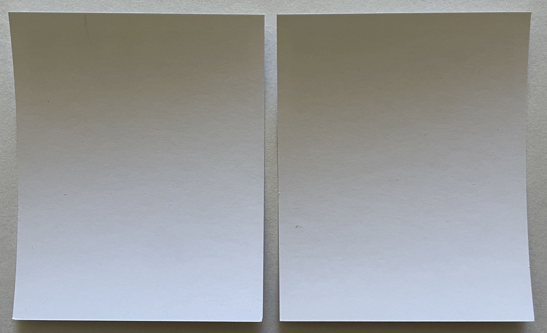 Nobuyoshi Araki Set of Two Polaroid Prints, Untitled - Image 5 of 5