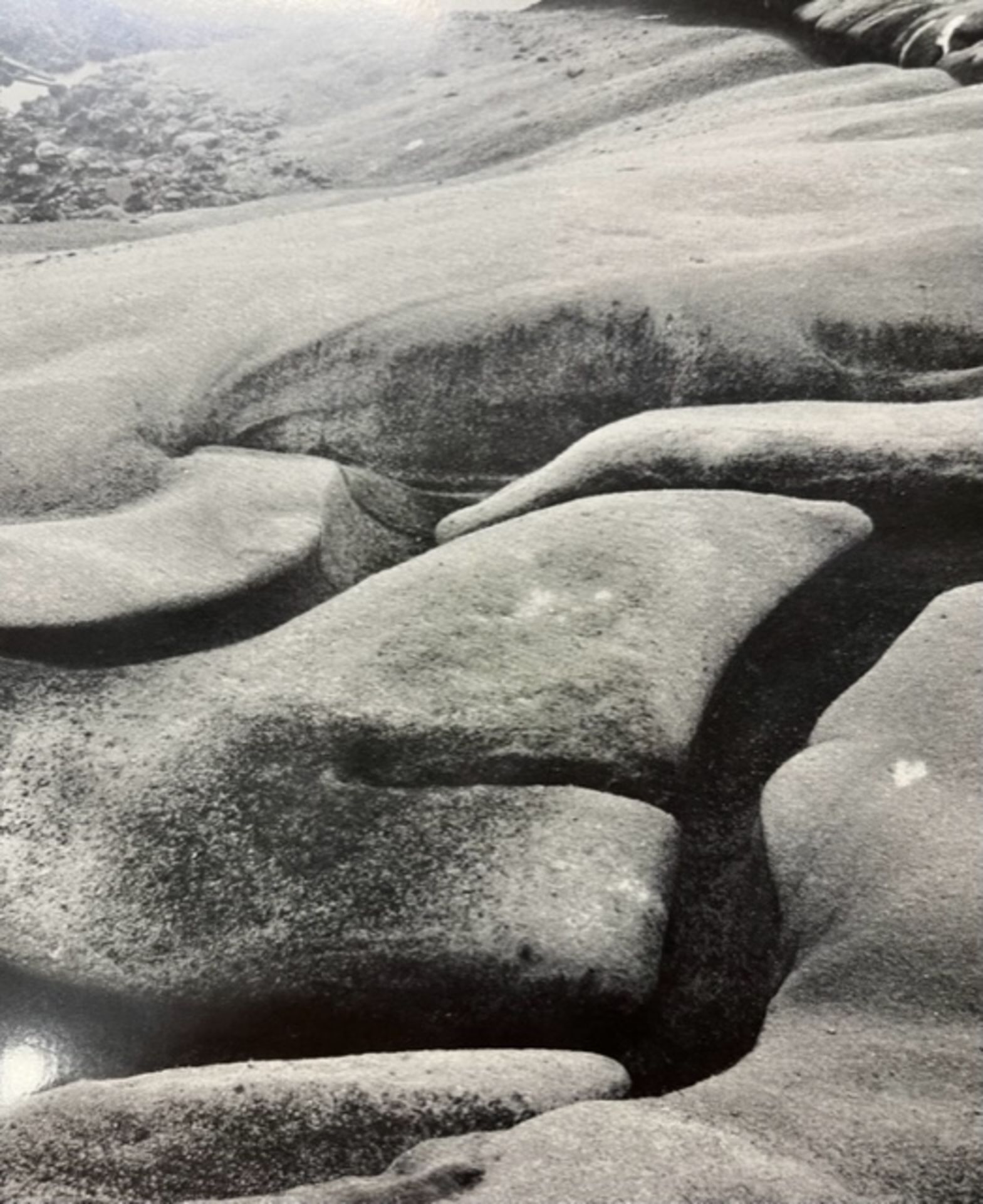 Edward Weston "Eroded Rock" Print. - Bild 5 aus 6