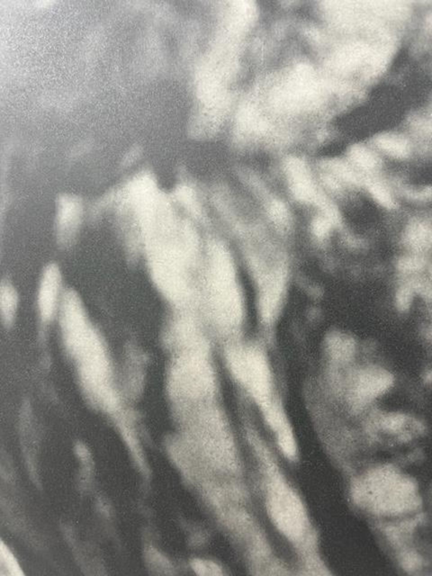 Jim Dine "Untitled" Print. - Bild 5 aus 6