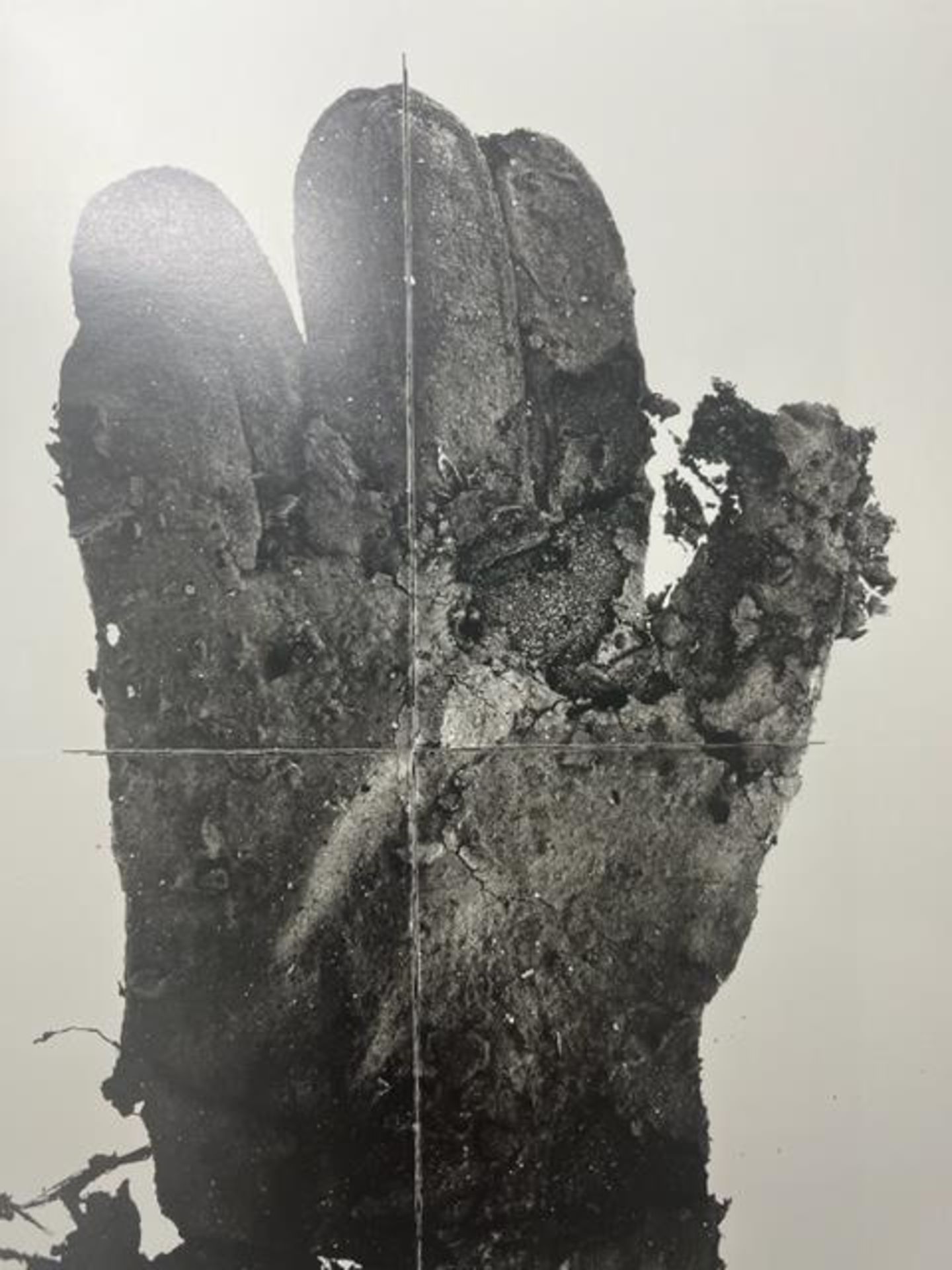 Irving Penn "Mud Gloove" Print.