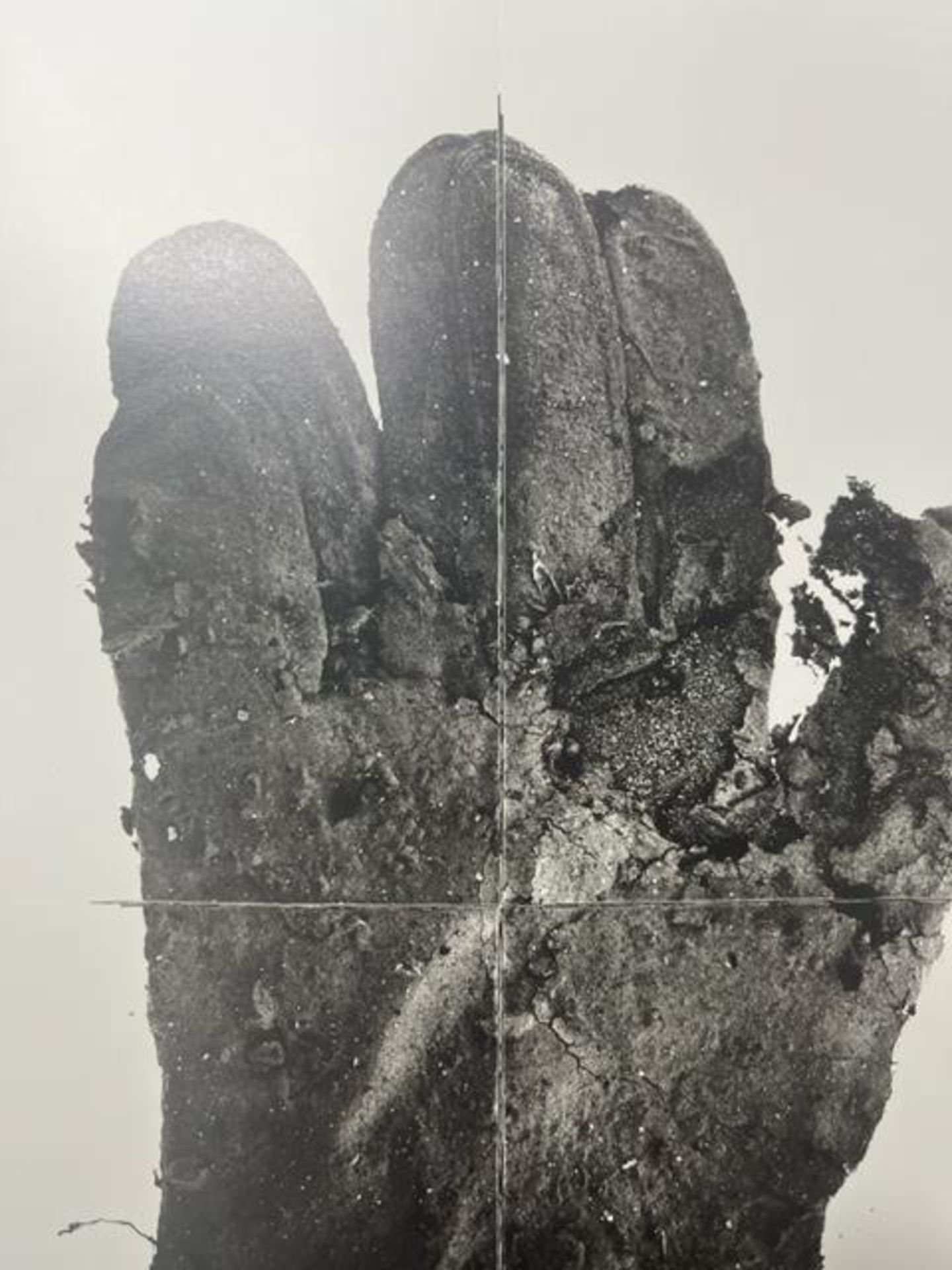 Irving Penn "Mud Gloove" Print. - Image 3 of 6