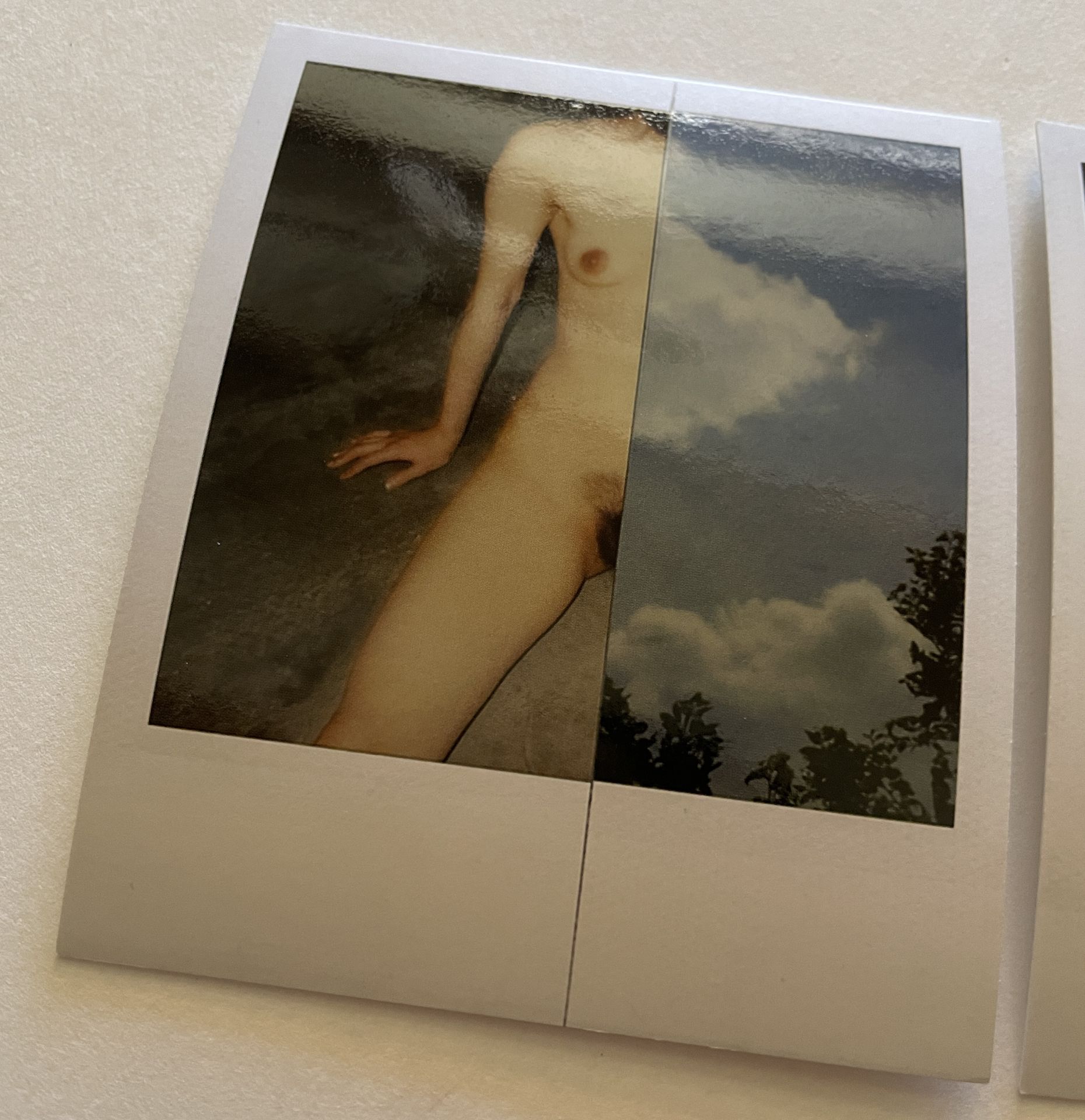 Nobuyoshi Araki Set of Two Polaroid Prints, Untitled - Image 3 of 5