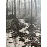 Edward Steichen "Woods in Rain" Print.