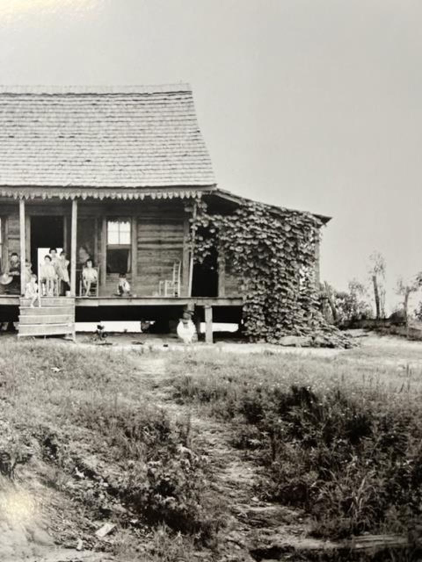 Dorothea Lange "Alabama Farm" Print. - Bild 5 aus 6