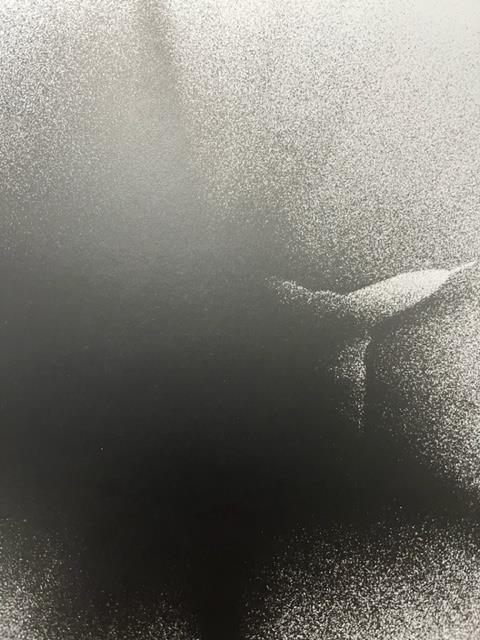 Shomei Tomatsu "Untitled" Print. - Bild 6 aus 6