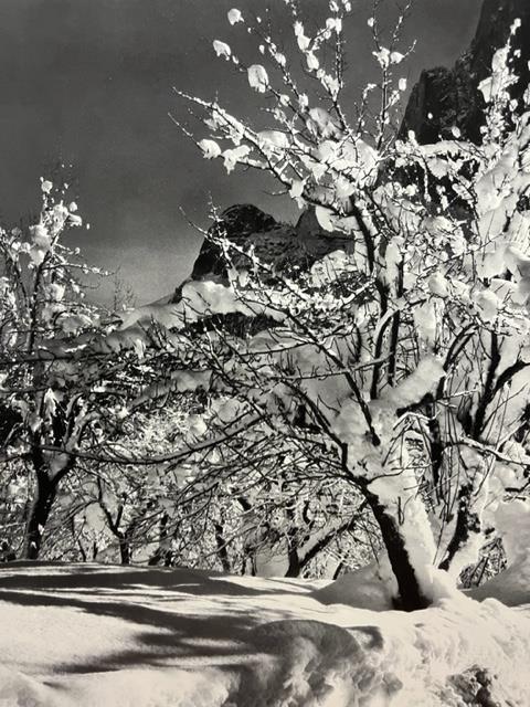 Ansel Adams "Half Dome, Orchard, Winter" Print. - Image 4 of 6