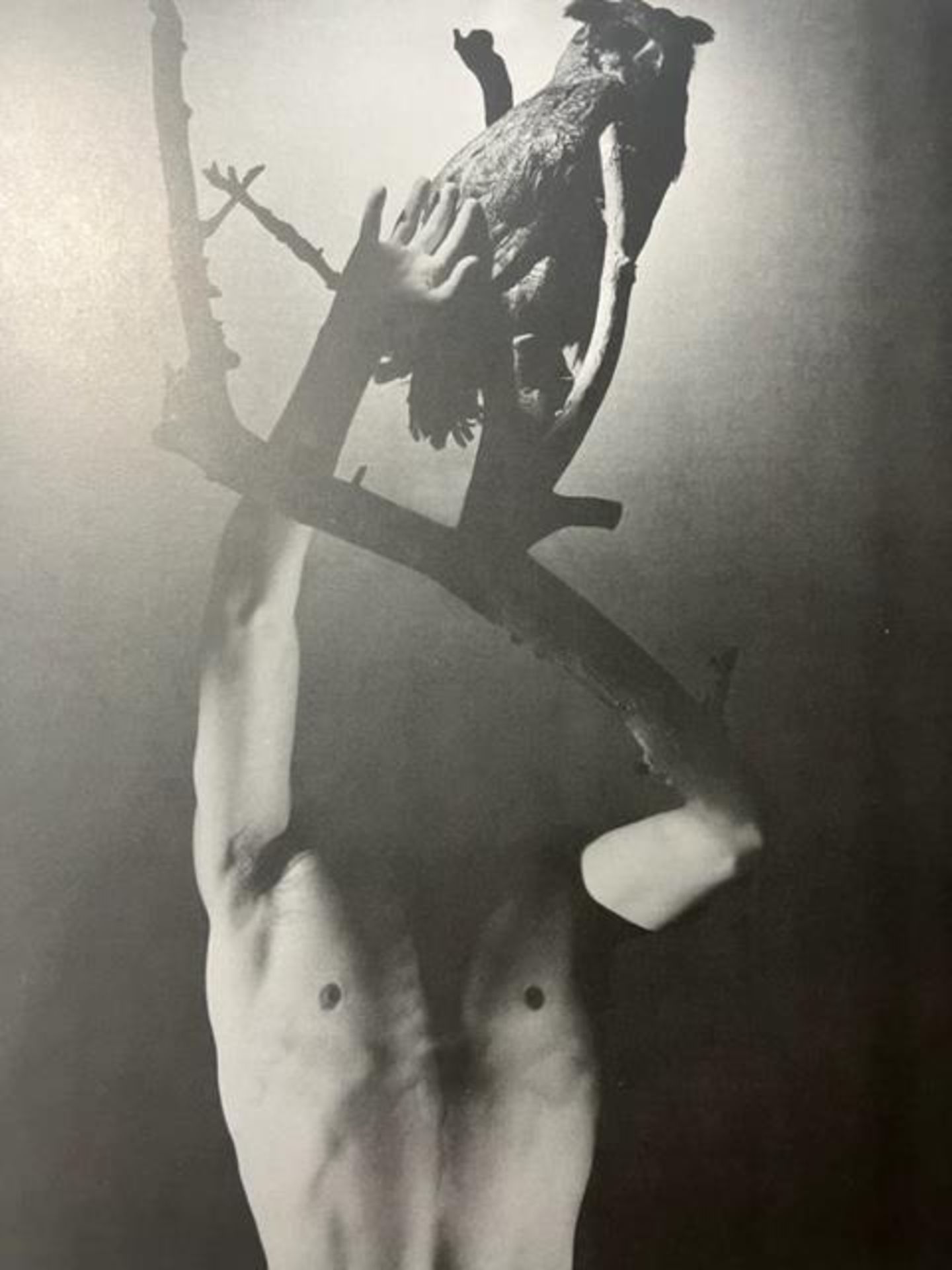 George Platt Lynes "Ascalphus" Print. - Bild 3 aus 6