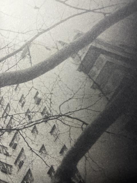 Daido Moriyama "Untitled" Print. - Image 3 of 6