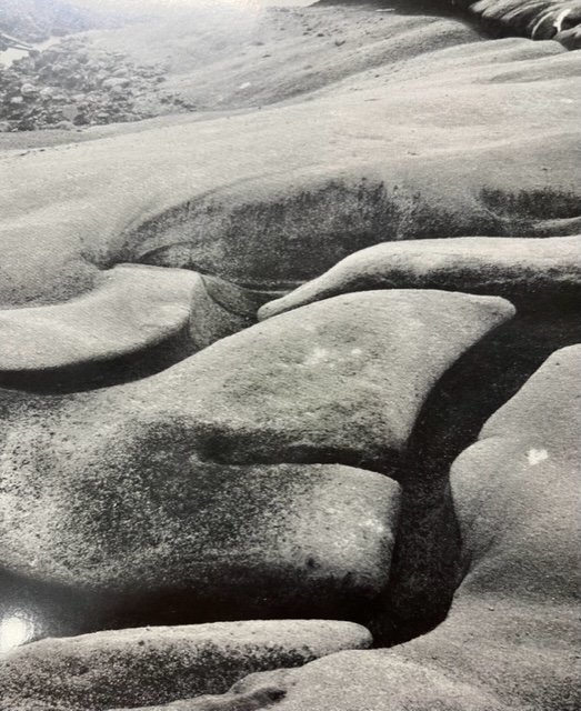 Edward Weston "Eroded Rock" Print. - Image 6 of 6