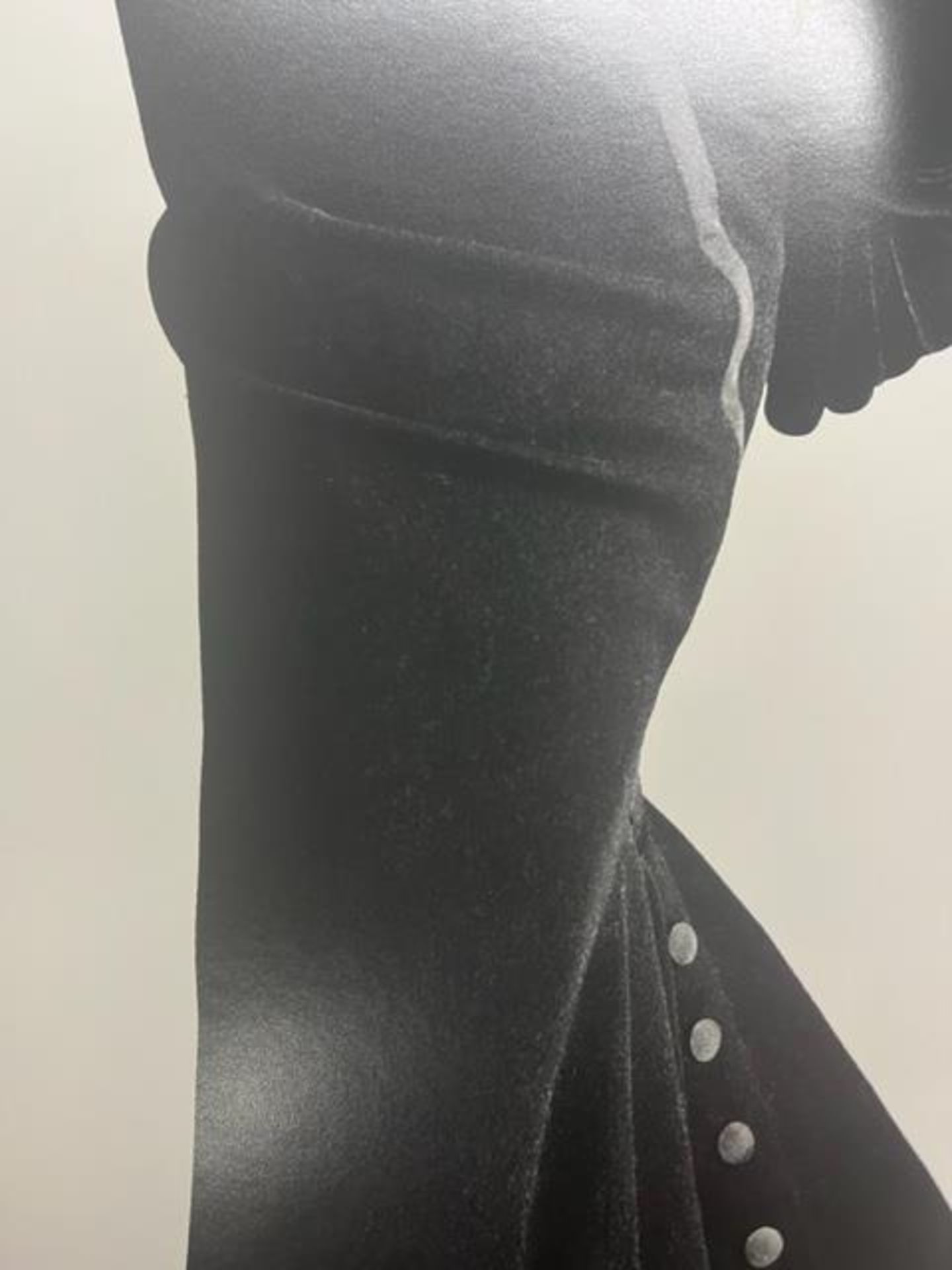 Irving Penn "Fath Detail" Print. - Image 4 of 6