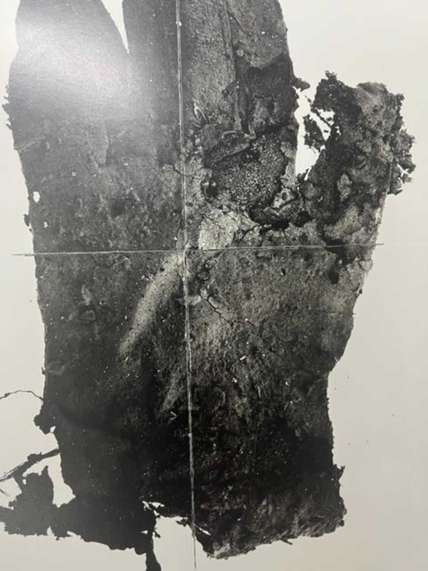 Irving Penn "Mud Gloove" Print. - Image 4 of 6