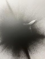 Shomei Tomatsu "Untitled" Print.