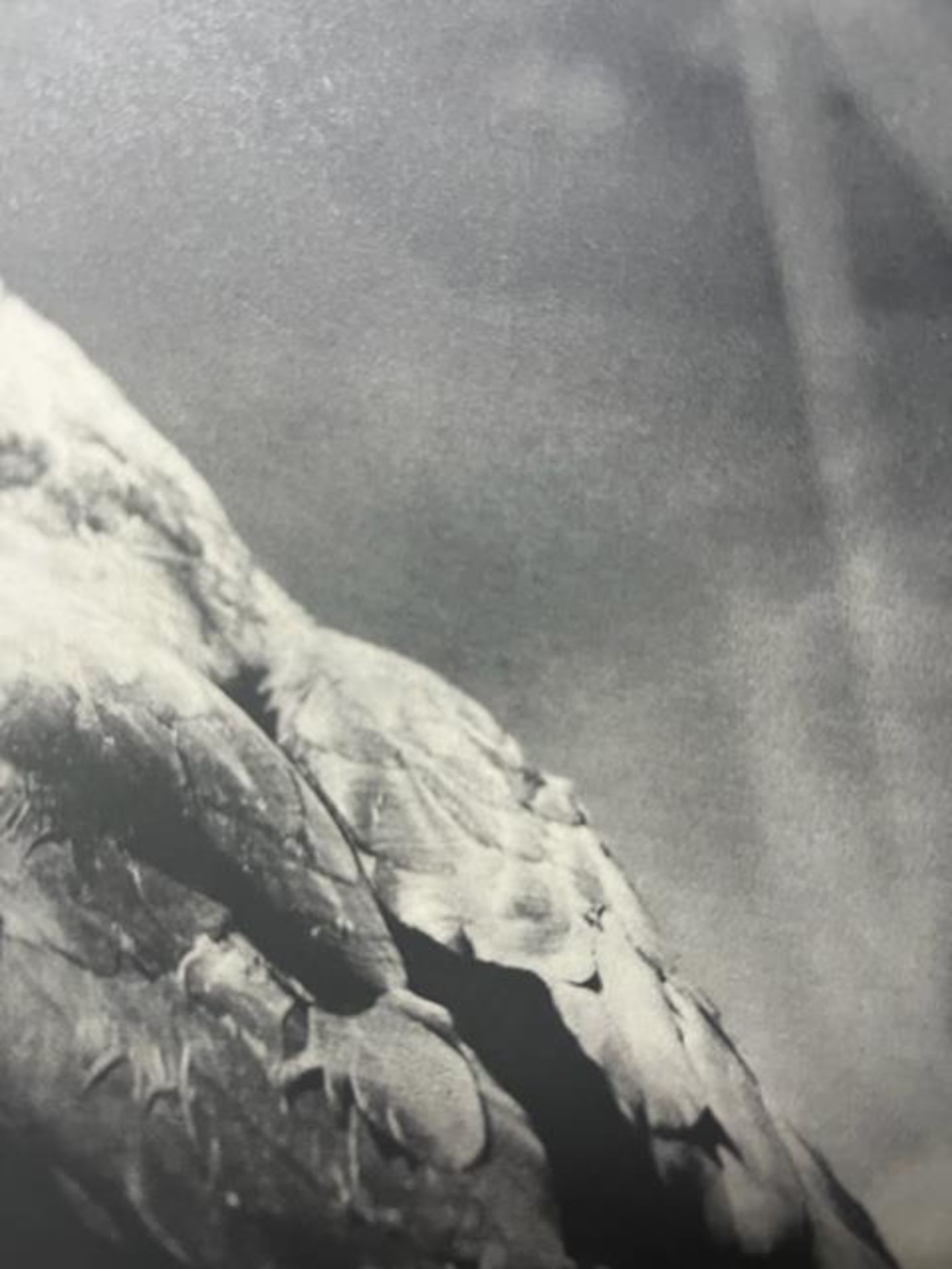 Jim Dine "Untitled" Print. - Image 6 of 6