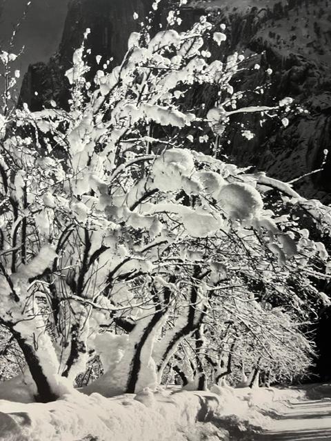 Ansel Adams "Half Dome, Orchard, Winter" Print. - Image 5 of 6