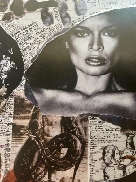 Peter Beard "Untitled" Print. - Bild 2 aus 6