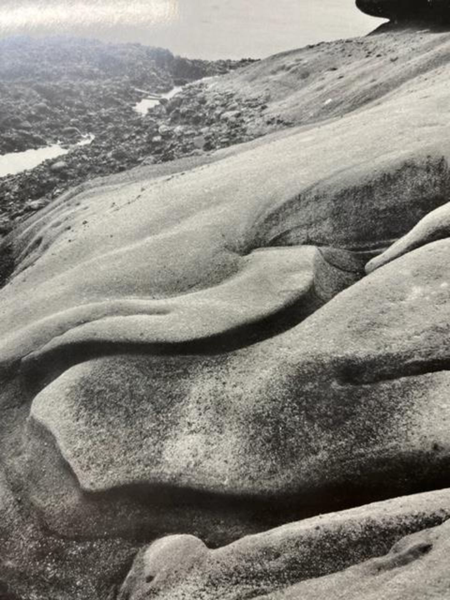 Edward Weston "Eroded Rock" Print. - Bild 2 aus 6