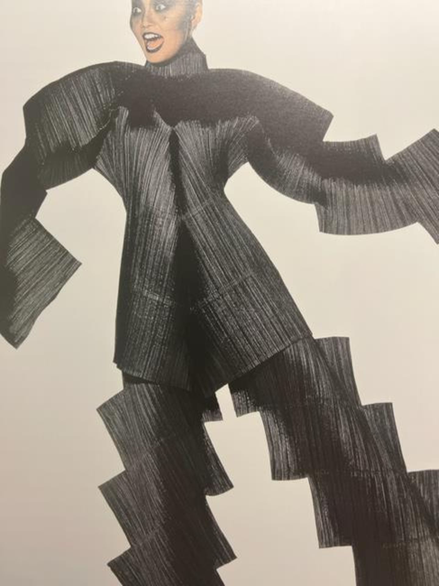 Irving Penn "Staircase Pleats" Print. - Image 4 of 6