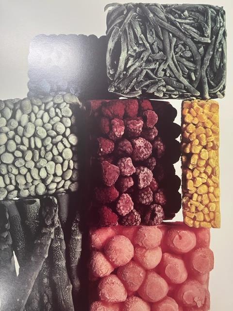 Irving Penn "Frozen Foods" Print.