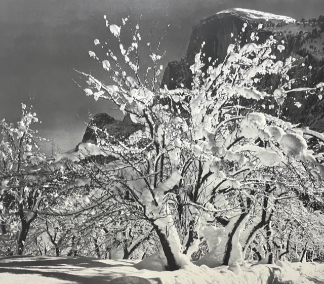 Ansel Adams "Half Dome, Orchard, Winter" Print.