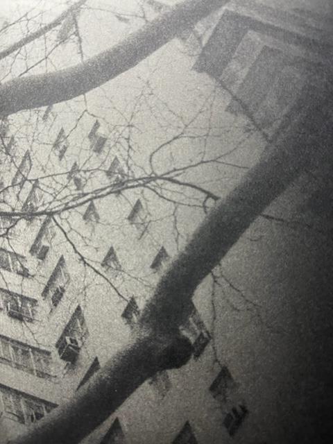 Daido Moriyama "Untitled" Print. - Image 4 of 6