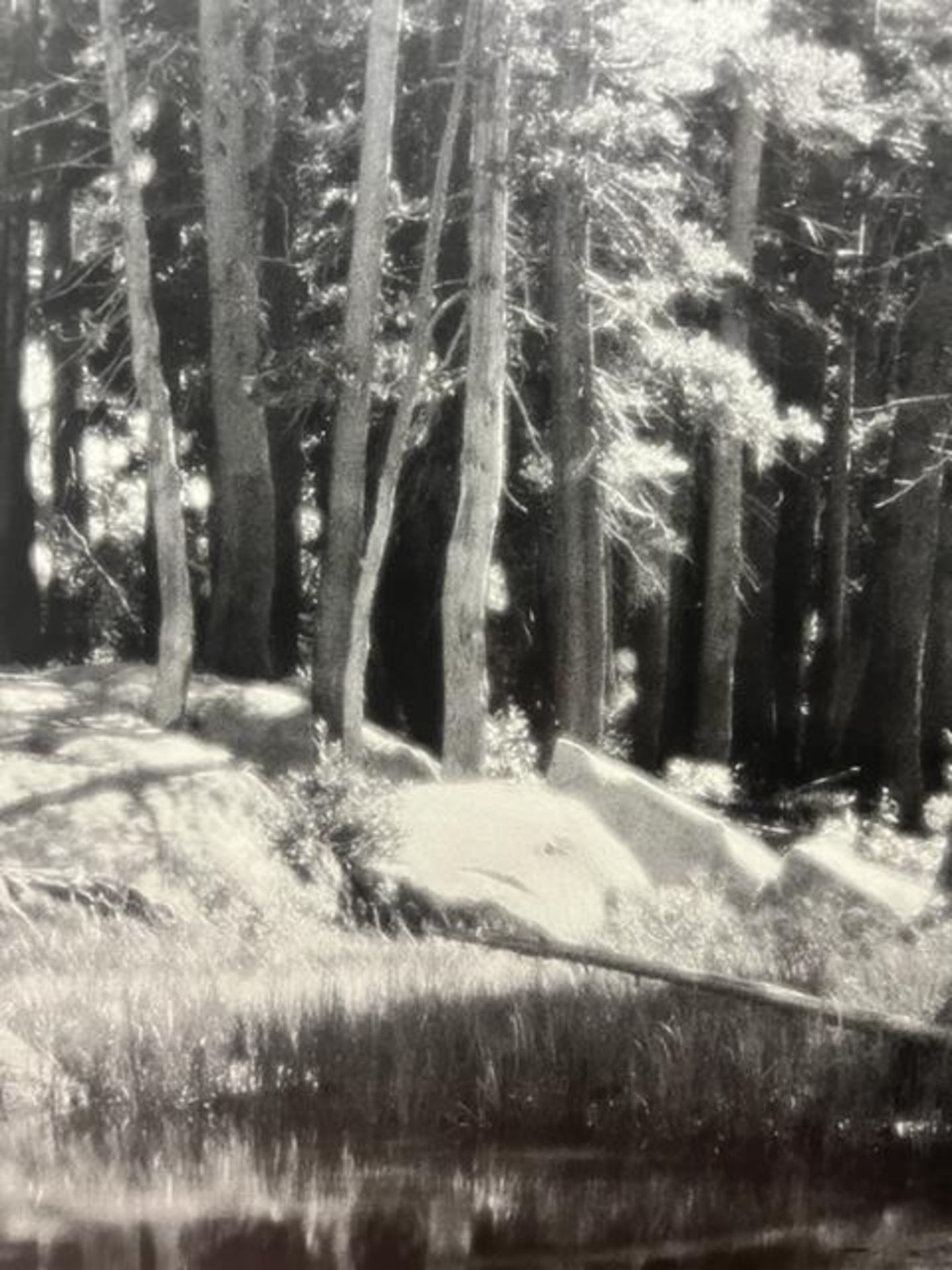 Ansel Adams "Forest and Stream " Print. - Bild 3 aus 6