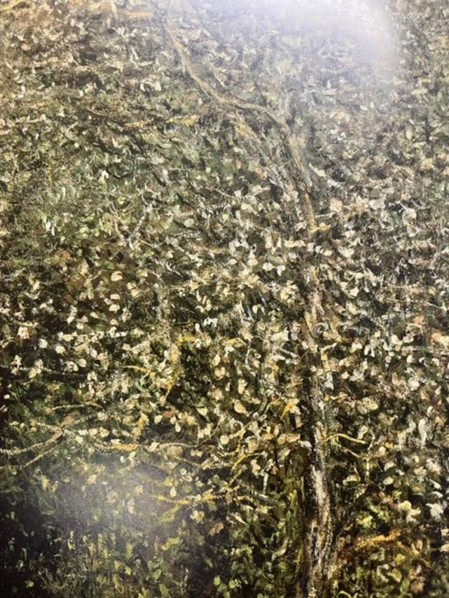 Claude Monet "Apple Trees" Print. - Bild 3 aus 6