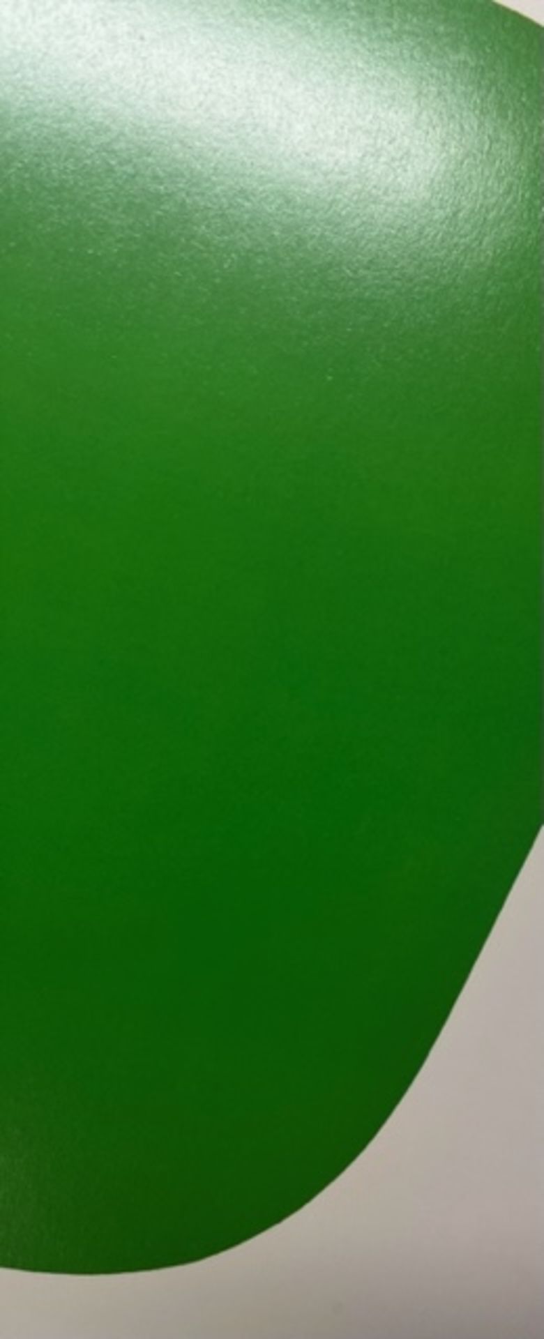 Ellsworth Kelly "Green (Vert)" Print. - Bild 6 aus 6