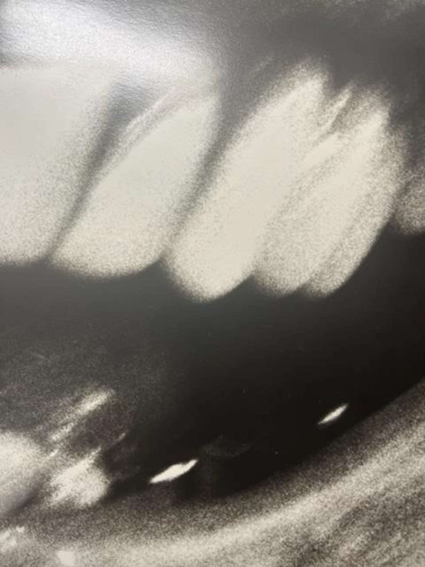 Richard Avedon "Untitled" Print. - Image 6 of 6