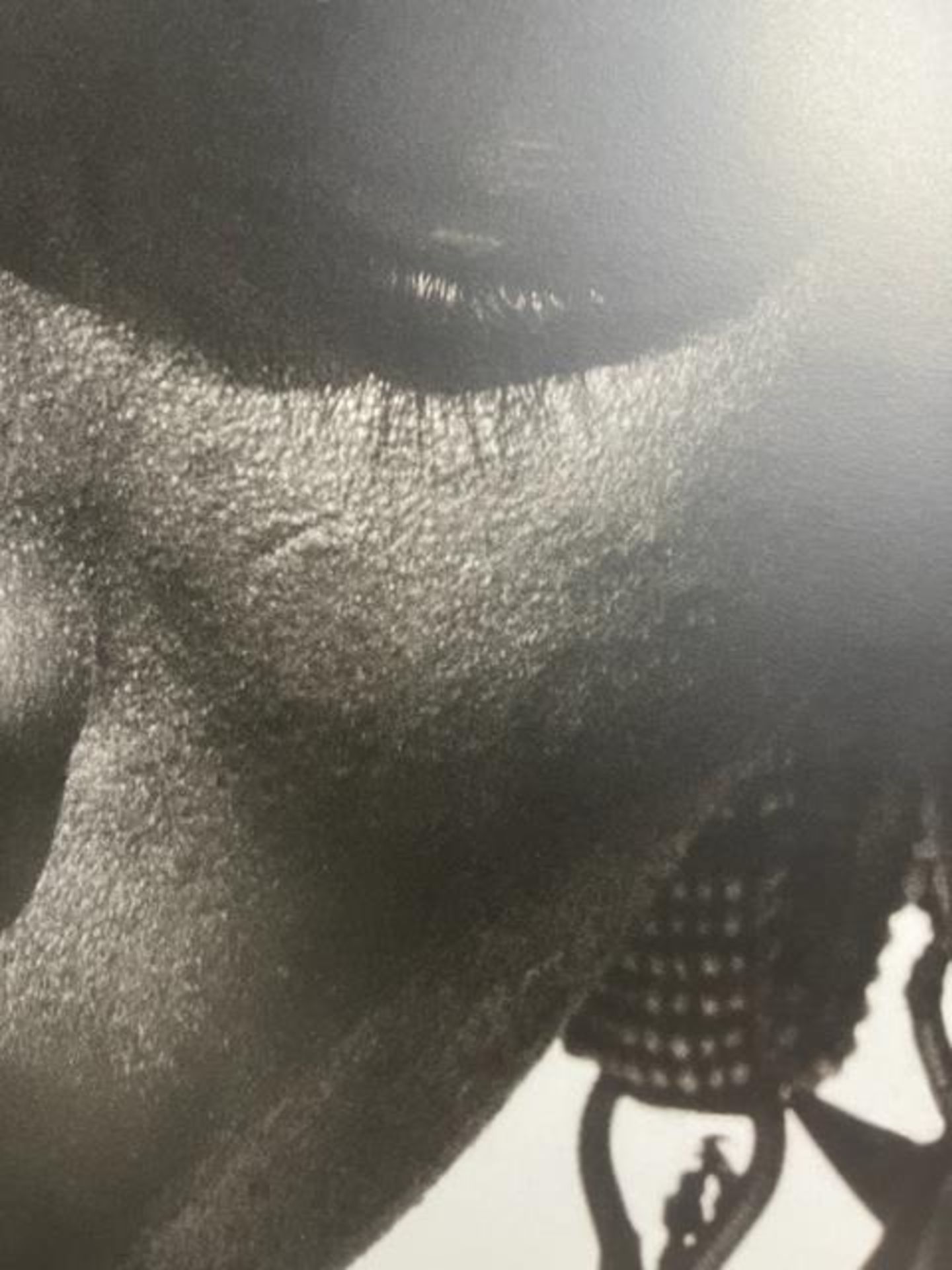 Herb Ritts "Untitled" Print. - Bild 6 aus 6