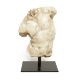 Apollo, Torso, Sculpture