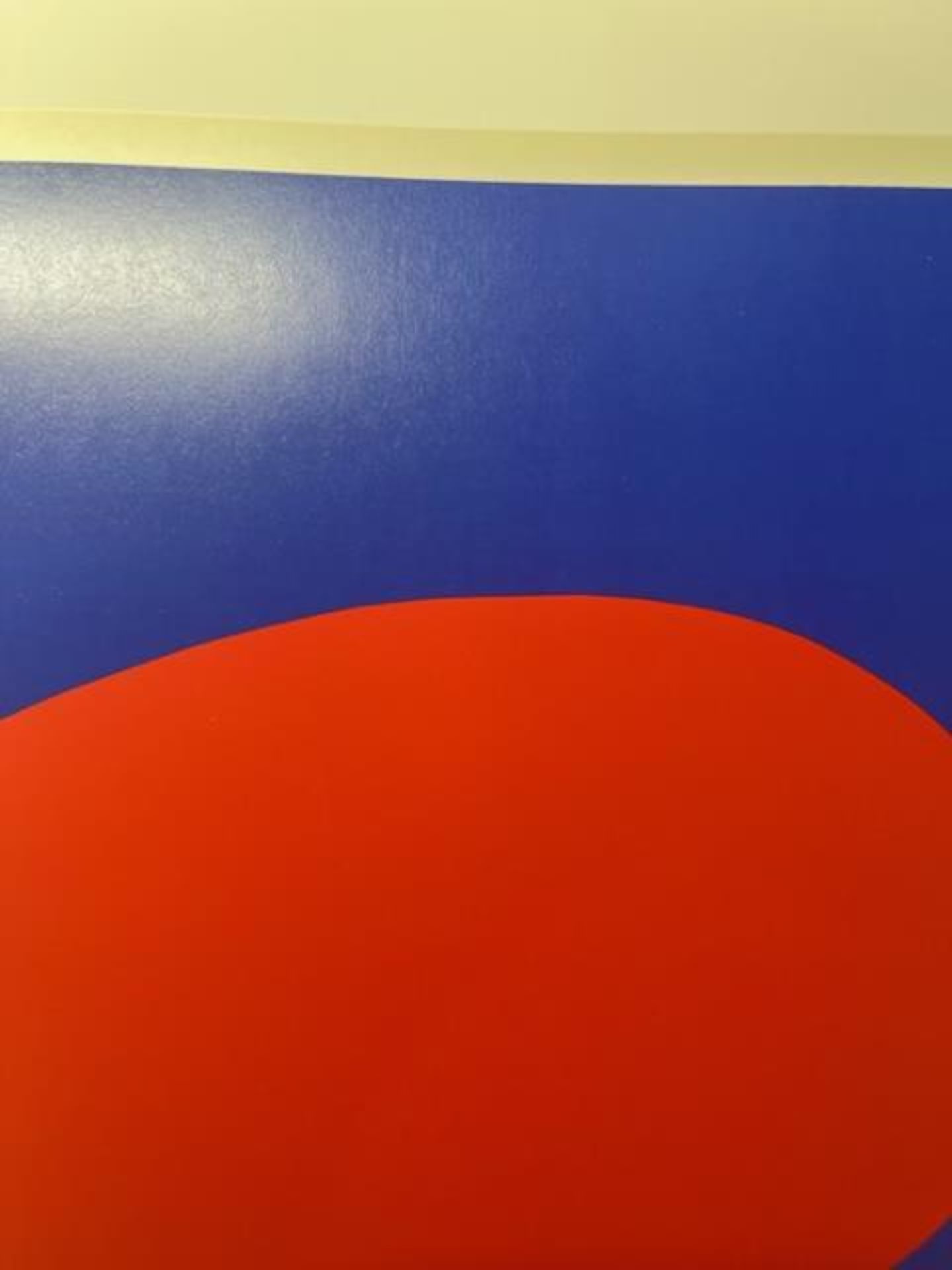 Ellsworth Kelly "Red Blue" Print. - Bild 2 aus 6