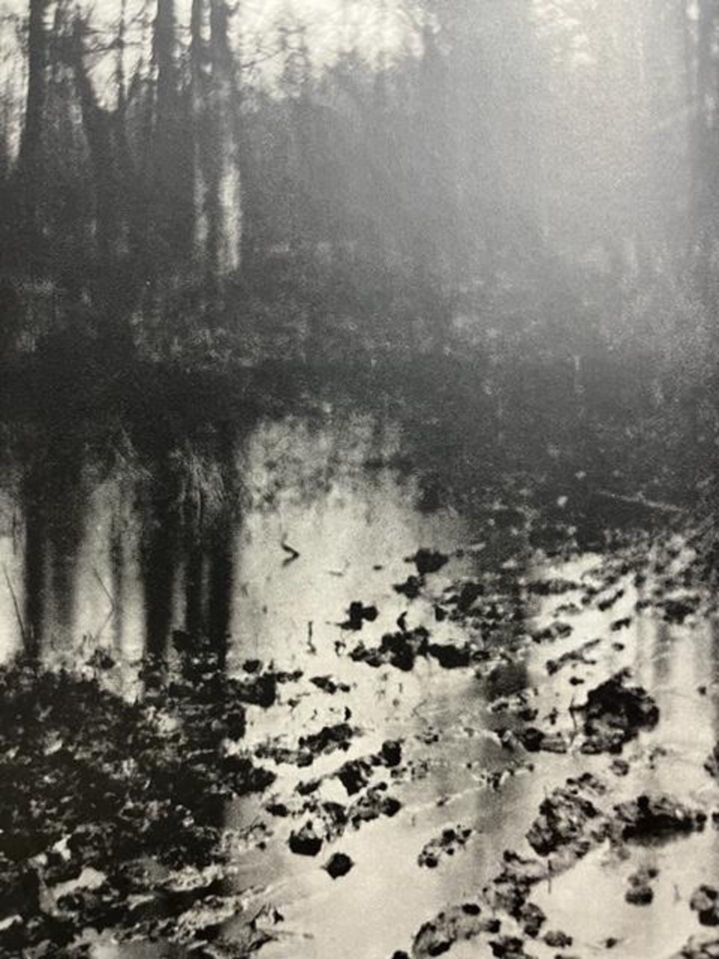 Edward Steichen "The Pool - Evening" Print.