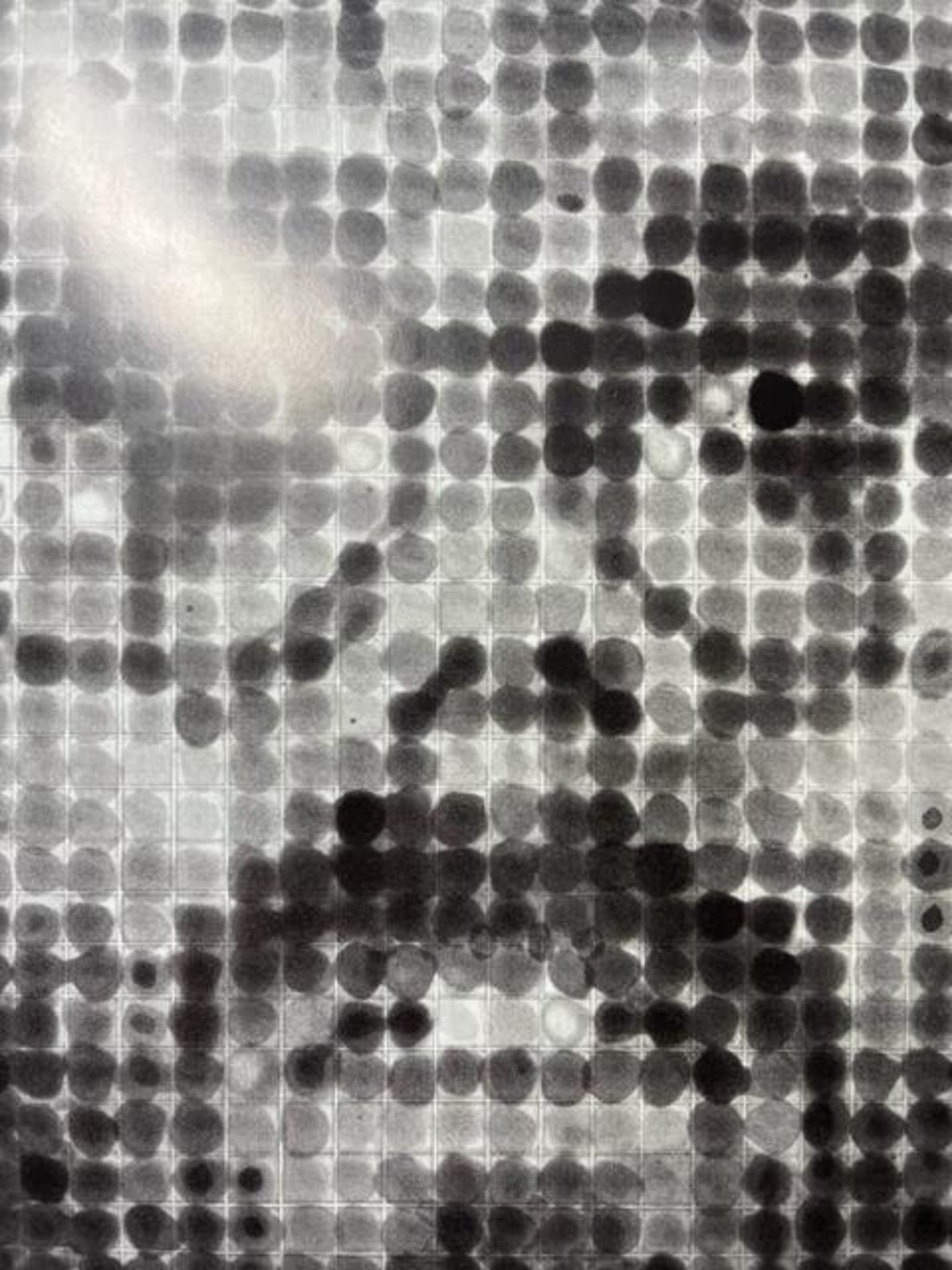 Chuck Close "Untitled" Print. - Image 3 of 6
