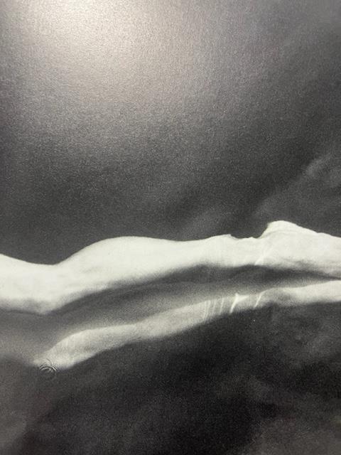 Annie Leibovitz "Untitled" Print. - Image 6 of 6