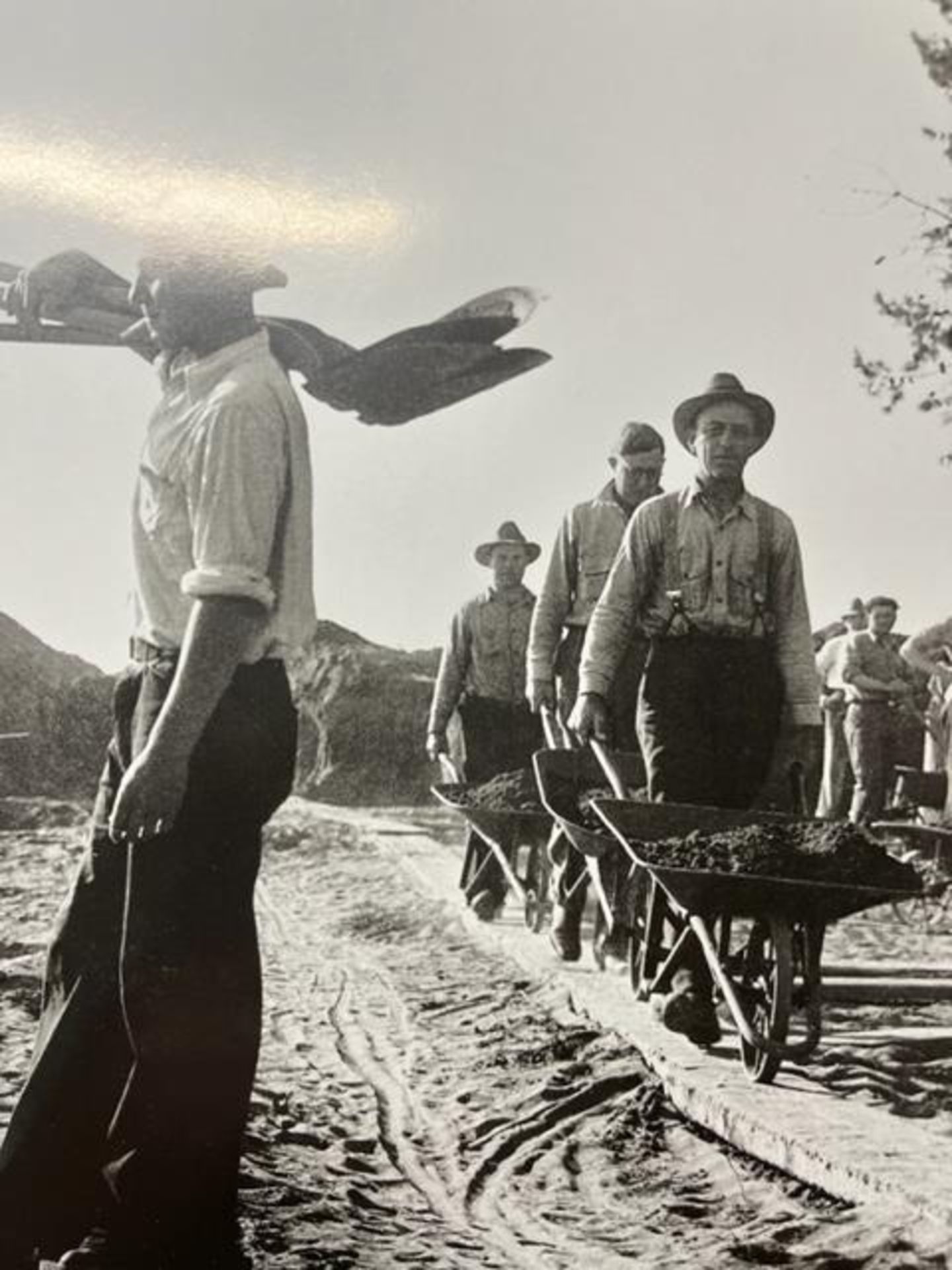 Dorothea Lange "Hop Harvesting" Print. - Bild 2 aus 6