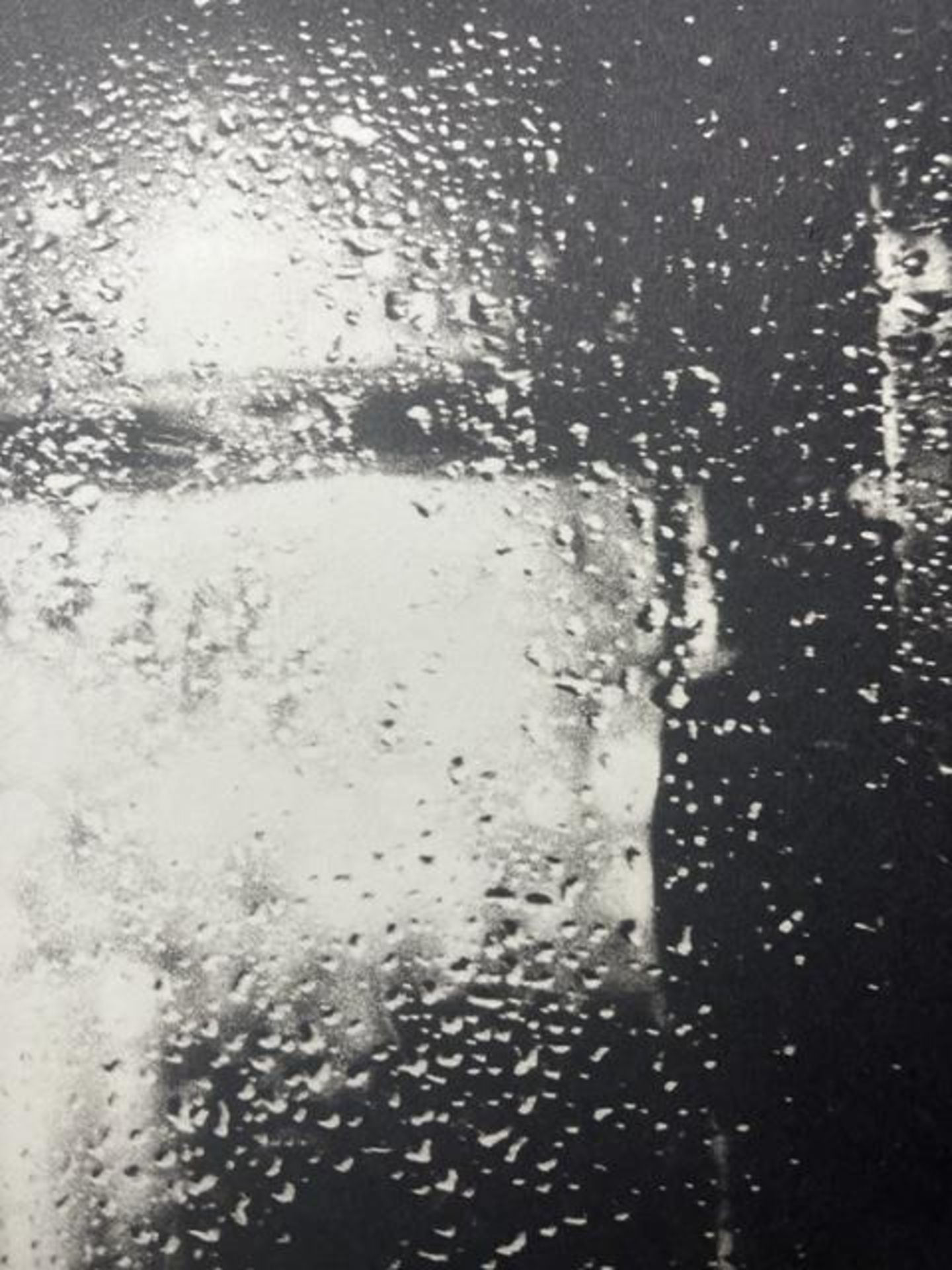 Daido Moriyama "Untitled" Print.