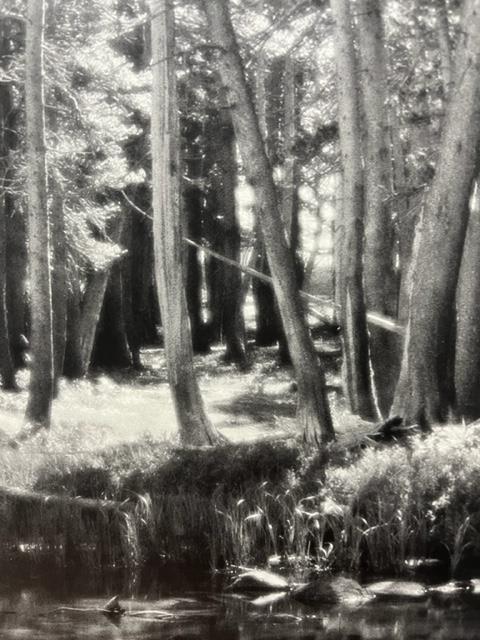 Ansel Adams "Forest and Stream " Print. - Image 5 of 6