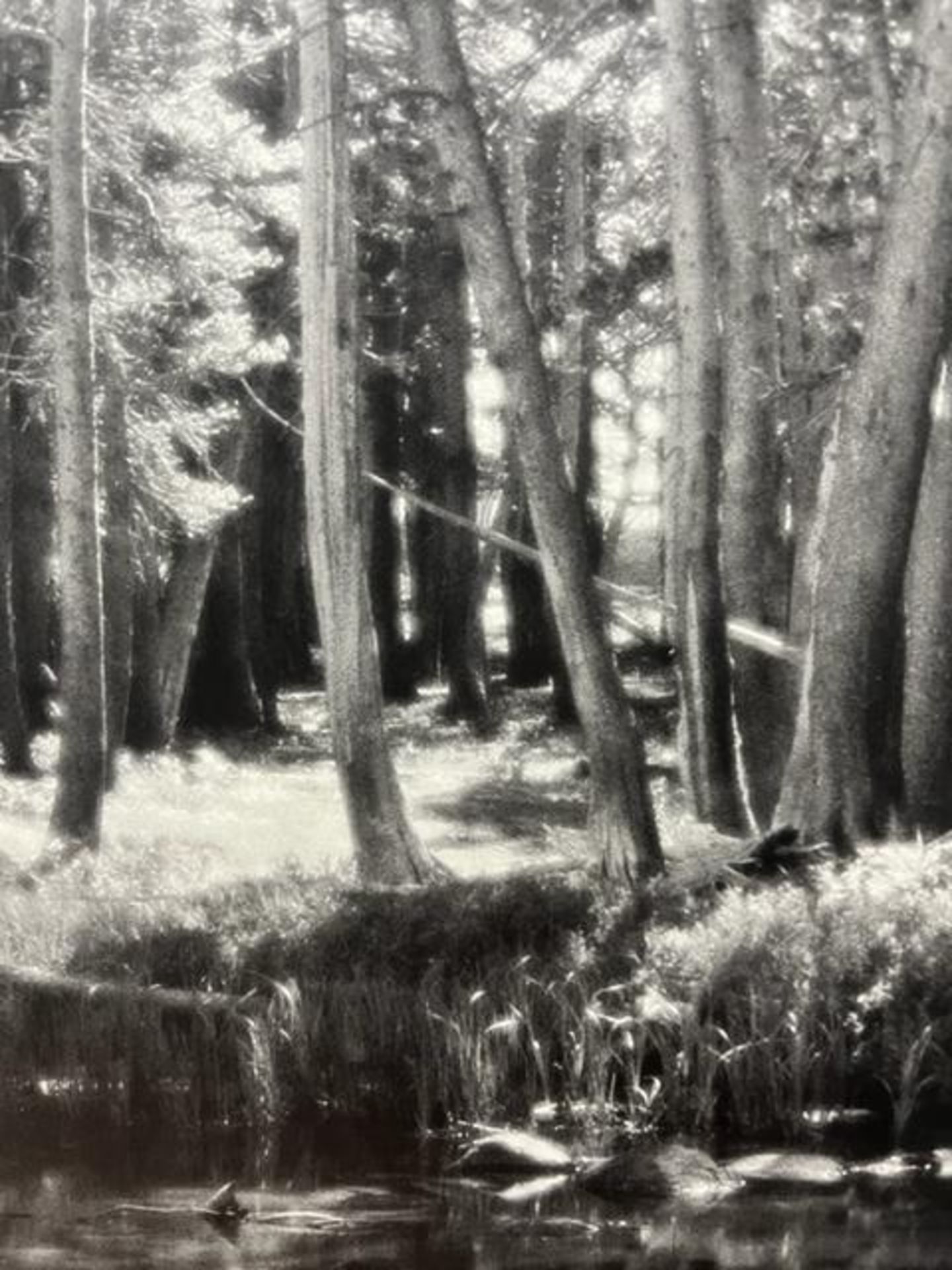 Ansel Adams "Forest and Stream " Print. - Bild 5 aus 6