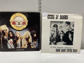 Two Gun's and Roses's LP's